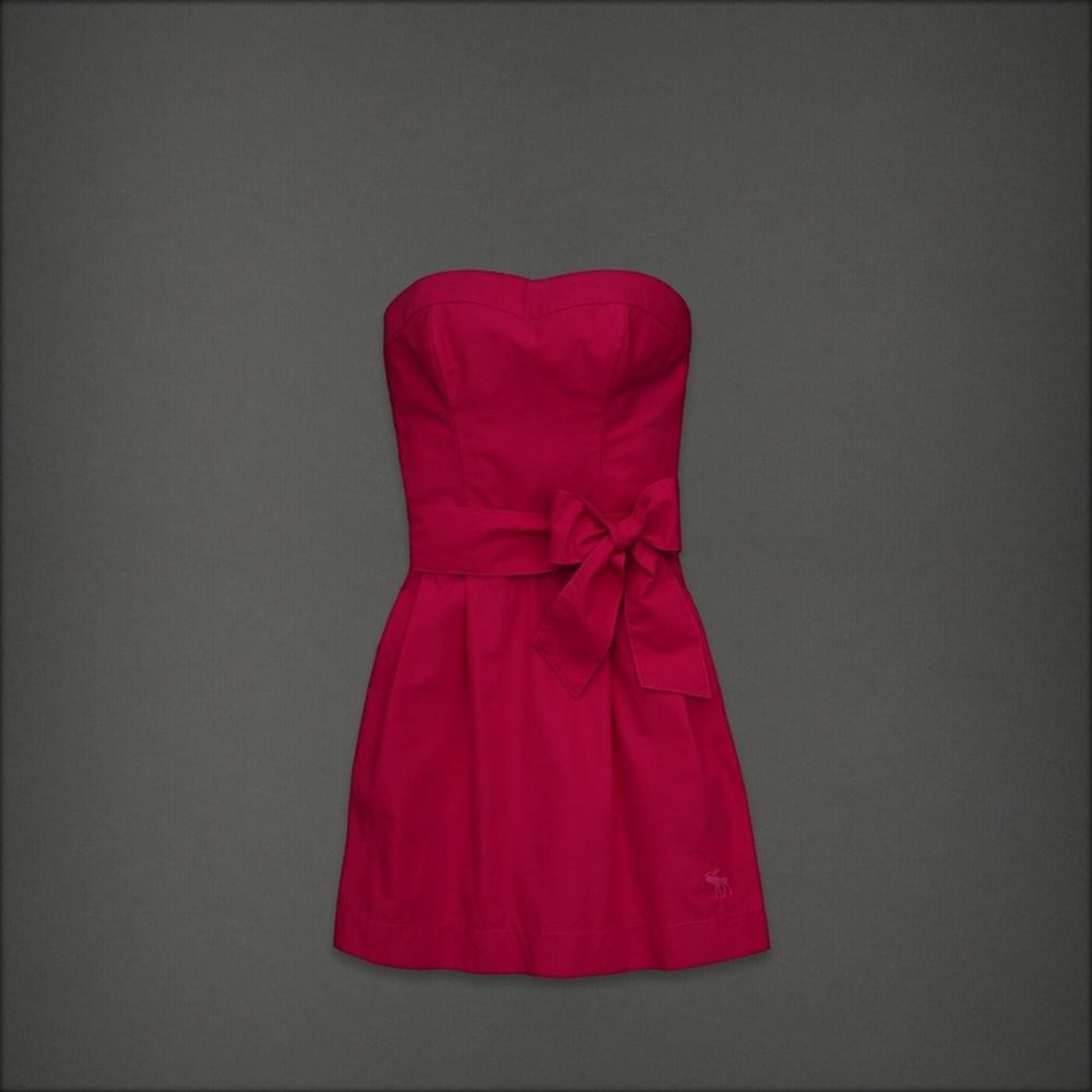 NWT A&F victoria dress